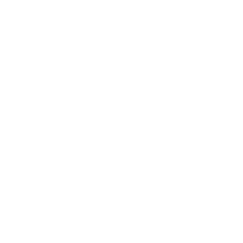 Usa Florida Sticker by CANUSA