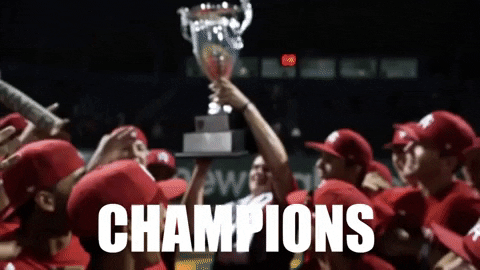 areacodebaseball giphygifmaker GIF