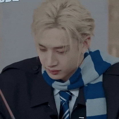 Stray Kids Chris GIF