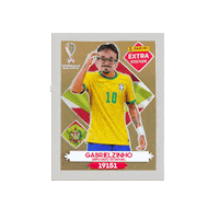 Santa Catarina Legend Sticker by Gabrielzinho