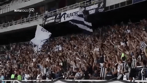 GIF by Botafogo