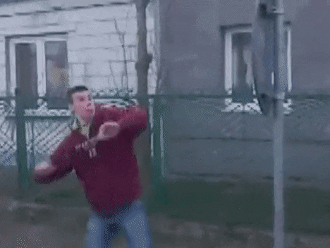 avryvortic giphyupload GIF