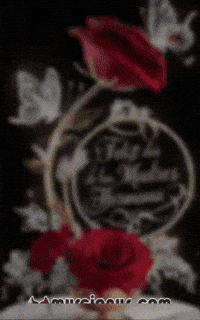 Fiesta Reina GIF by Murcianys LLC