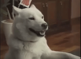 japan goodbye GIF