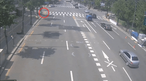 insights___ giphyupload GIF