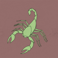 Flower Bug GIF by Trevor Anderson