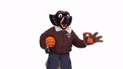 Three Points Basketball GIF by utmartin