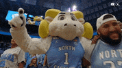 Excited North Carolina GIF by UNC Tar Heels