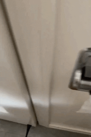 cuteanimalland giphyupload GIF