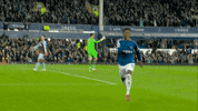 Goodison Park Goal GIF by Everton Football Club