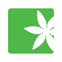 Feng Shui Aromatherapie Sticker by BaBlü® Akademie