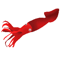 Marine Biology Water Sticker by OceanX