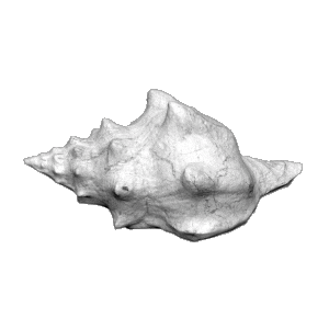 3D Florida Sticker by Robyn