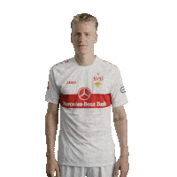 Football Sport Sticker by VfB Stuttgart