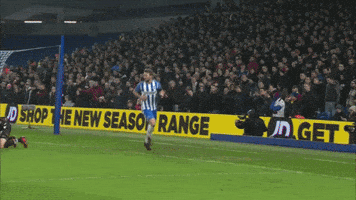 Soccer Futbol GIF by Brighton & Hove Albion Football Club