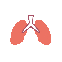 Lungs Organs Sticker by Телеканал Пятница!