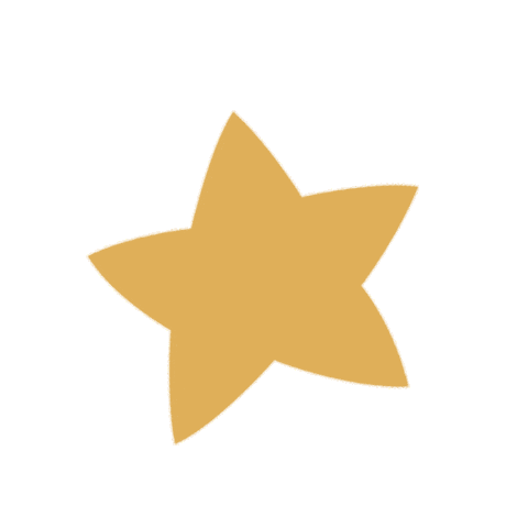 Star Twinkle Sticker by Erstwilder