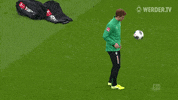 Football Soccer GIF by SV Werder Bremen