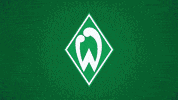 football josh GIF by SV Werder Bremen