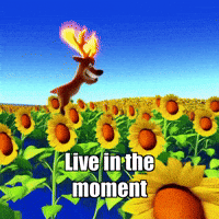 Fire Glow GIF by elkijahspark