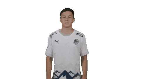 Фк Сочи Sticker by pfcsochi