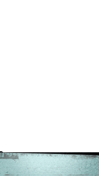 Rcdugc Bottom Sticker by Rainier Beer