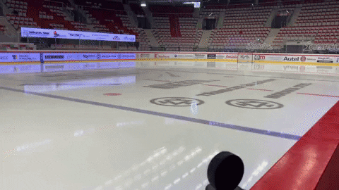 Ice Hockey Trinec GIF by HC Oceláři Třinec