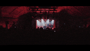 live music freya ridings lost without you GIF by Freya Ridings