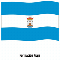 Alcala De Guadaira Flag GIF by Formación Ninja