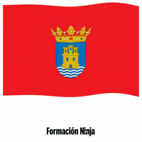 Comunidad De Madrid Flag GIF by Formación Ninja