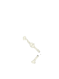 bones characters Sticker by Peter Bjorn and John