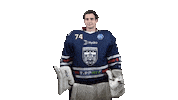 Ice Hockey Sticker by Fehervar AV19