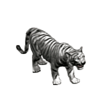 tiger STICKER