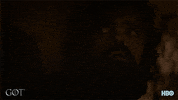 season 8 GIF by Game of Thrones