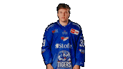 Seidl Sticker by Straubing Tigers