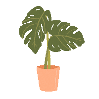 Plant Leaves Sticker by Liana Hughes Creative