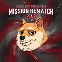 Shiba Inu Football GIF by Doge Pound