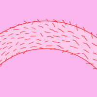 Deepsnake GIF by Shane Beam