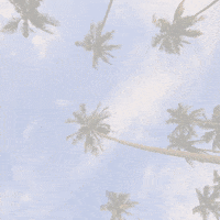 Good Morning GIF