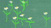 Flowers Herbs GIF by kiin.