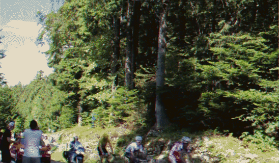 france jump GIF