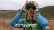 nat geo wild yukon vet GIF by Dr. Oakley, Yukon Vet