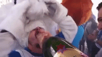 Romanian Soccer Mascots Celebrate Cup Win With Lots of Champagne
