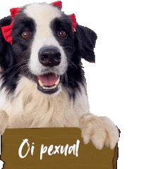 kombordersnaestrada komborders roykim komborder Sticker