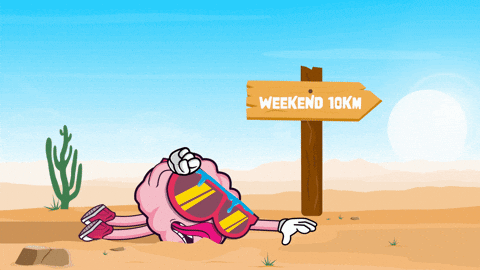 Crypto Sun GIF by BigBrains