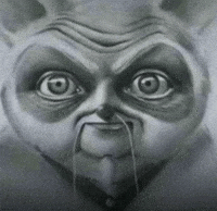 Master Shifu Stare GIF