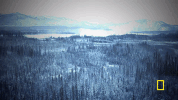 life below zero GIF by National Geographic Channel