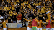 home run soccer GIF by Houston Dynamo