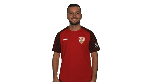 Stuttgart Sticker by Bundesliga