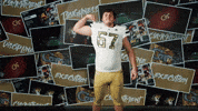 Georgia Tech Football GIF by Georgia Tech Yellow Jackets